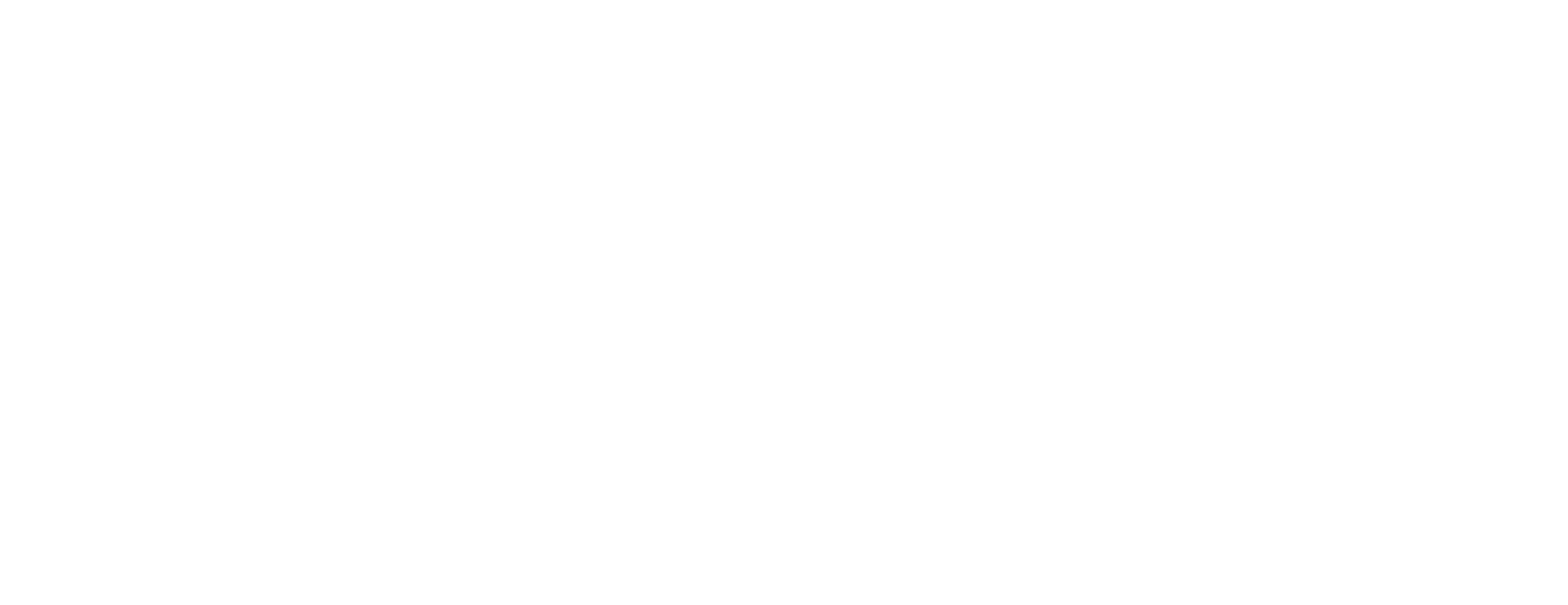 ULSS Logo